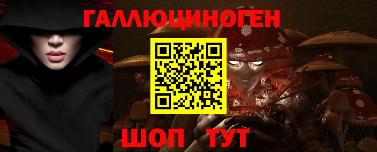 Псилоцибиновые грибы прущие грибы Карабулак